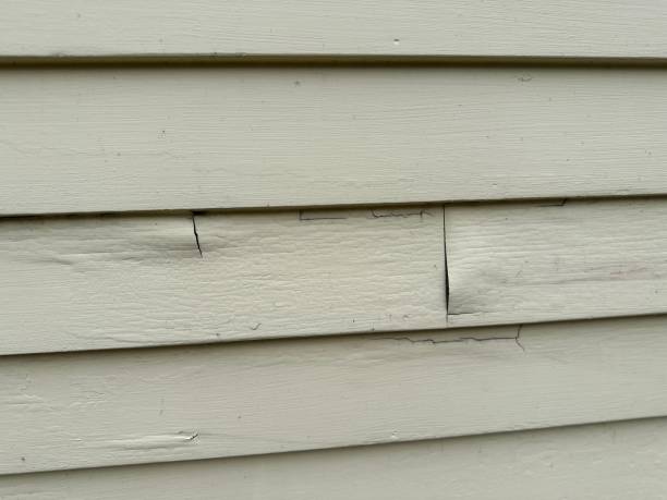 Best Construction Debris Removal  in Harwich Center, MA